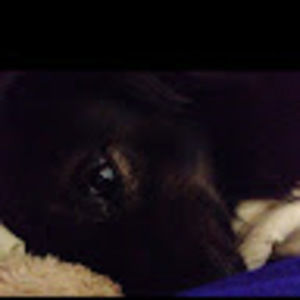 Meet your Posher, Bridgette